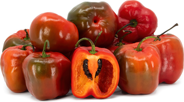 Rocoto Andino